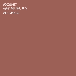 #9C6057 - Au Chico Color Image